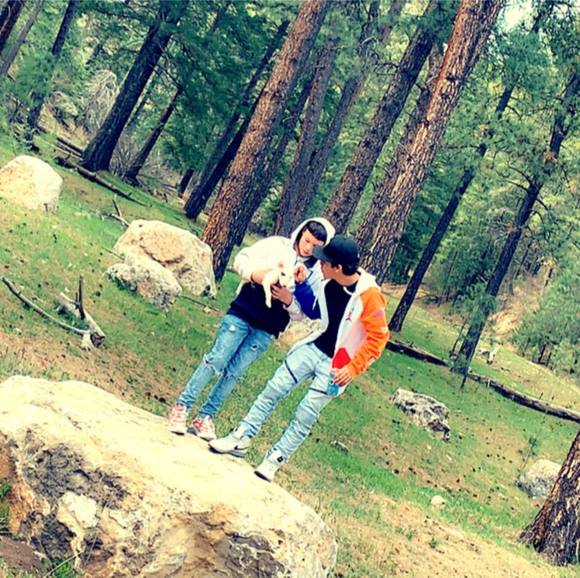 Meet your Posher, Benjamin - Picture 1 of 1